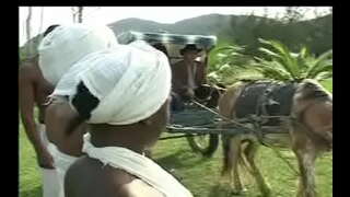 Sebagai Negras da senzala